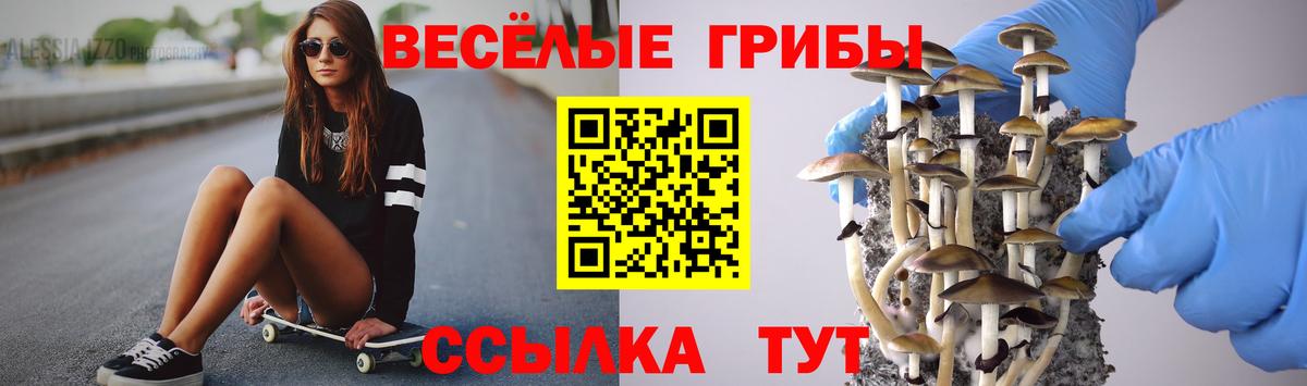Галлюциногенные грибы Psilocybe  Вход с VPN  купить наркотик  Галлюциногенные грибы мухоморы  Муравленко 